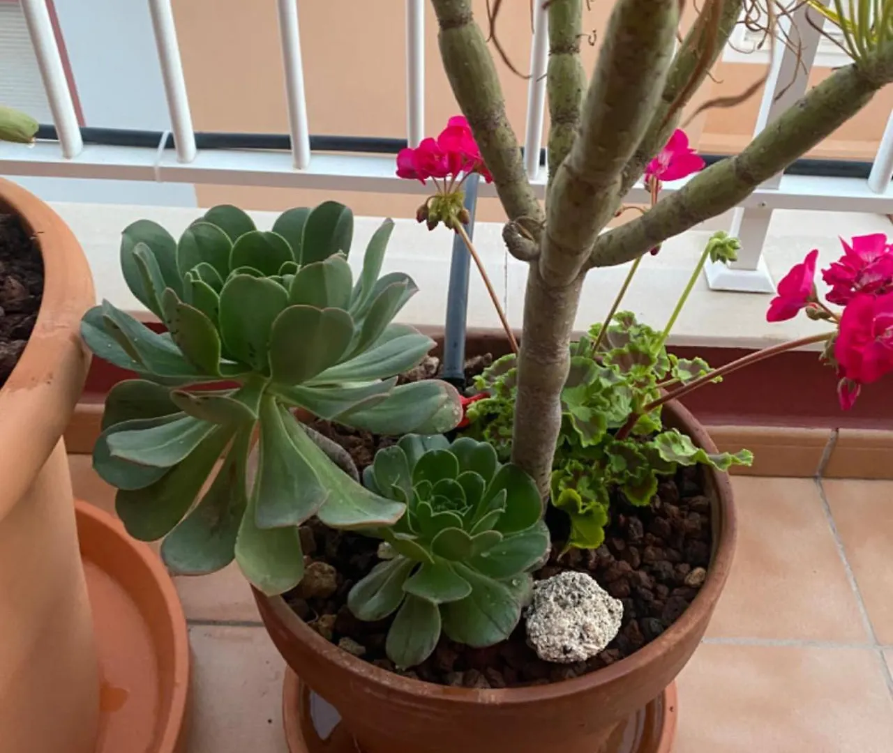 Apartamento Lucie Exclusive Apartment With A Stunning View Chayofa Spain