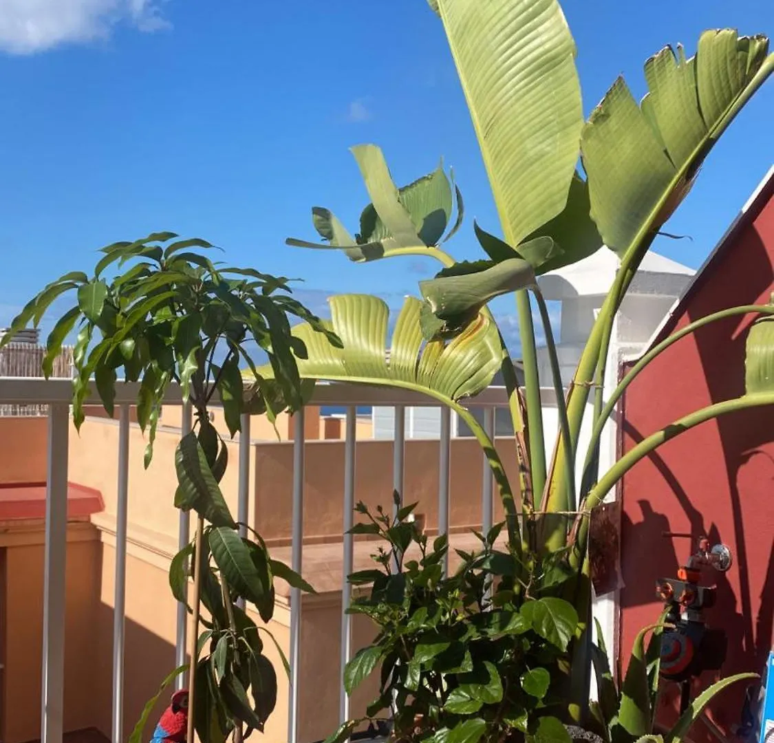Apartamento Lucie Exclusive Apartment With A Stunning View Chayofa